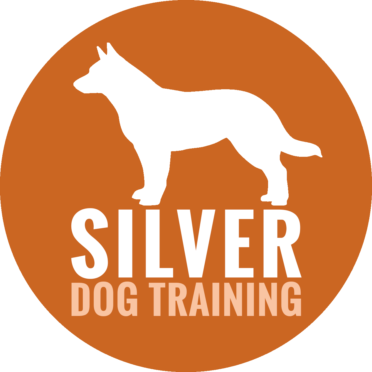 Silver Dog Training