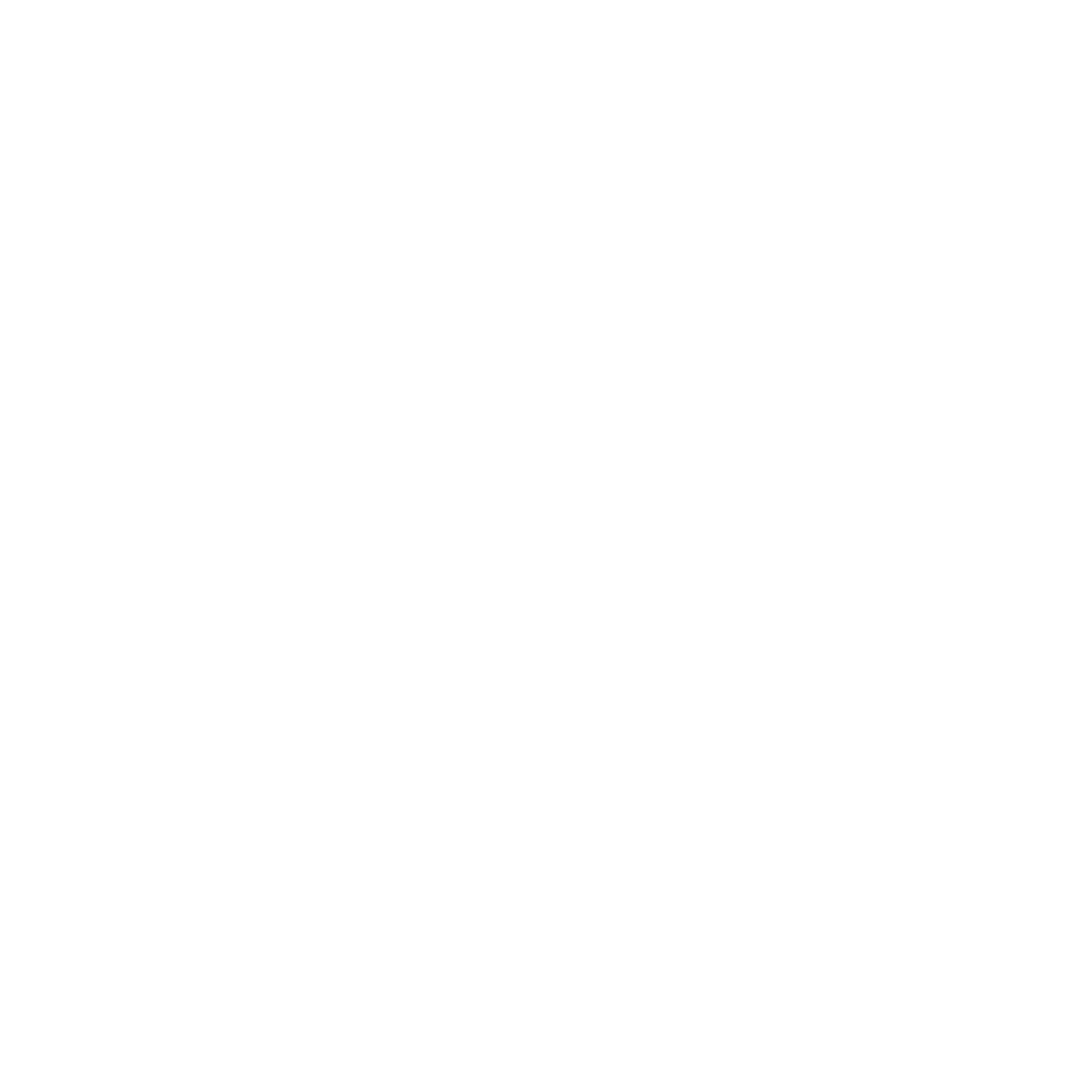 Silver Dog Training